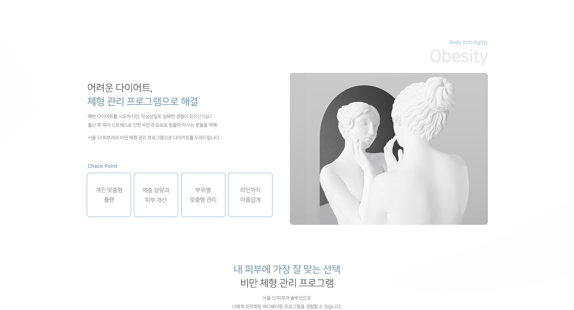 바디 쉐이핑·비만